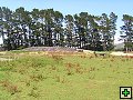 thn_NZ leden-unor 2006 103.jpg